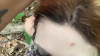 Pov Video Of A Teen Girl Getting Caught In The Woods And Begging For Hardcore Sex